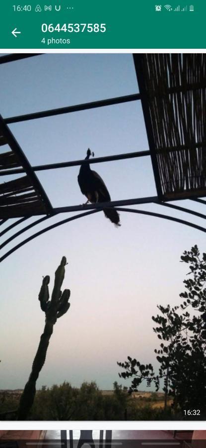 Riad Douar Des Oliviers El Arba Bagian luar foto